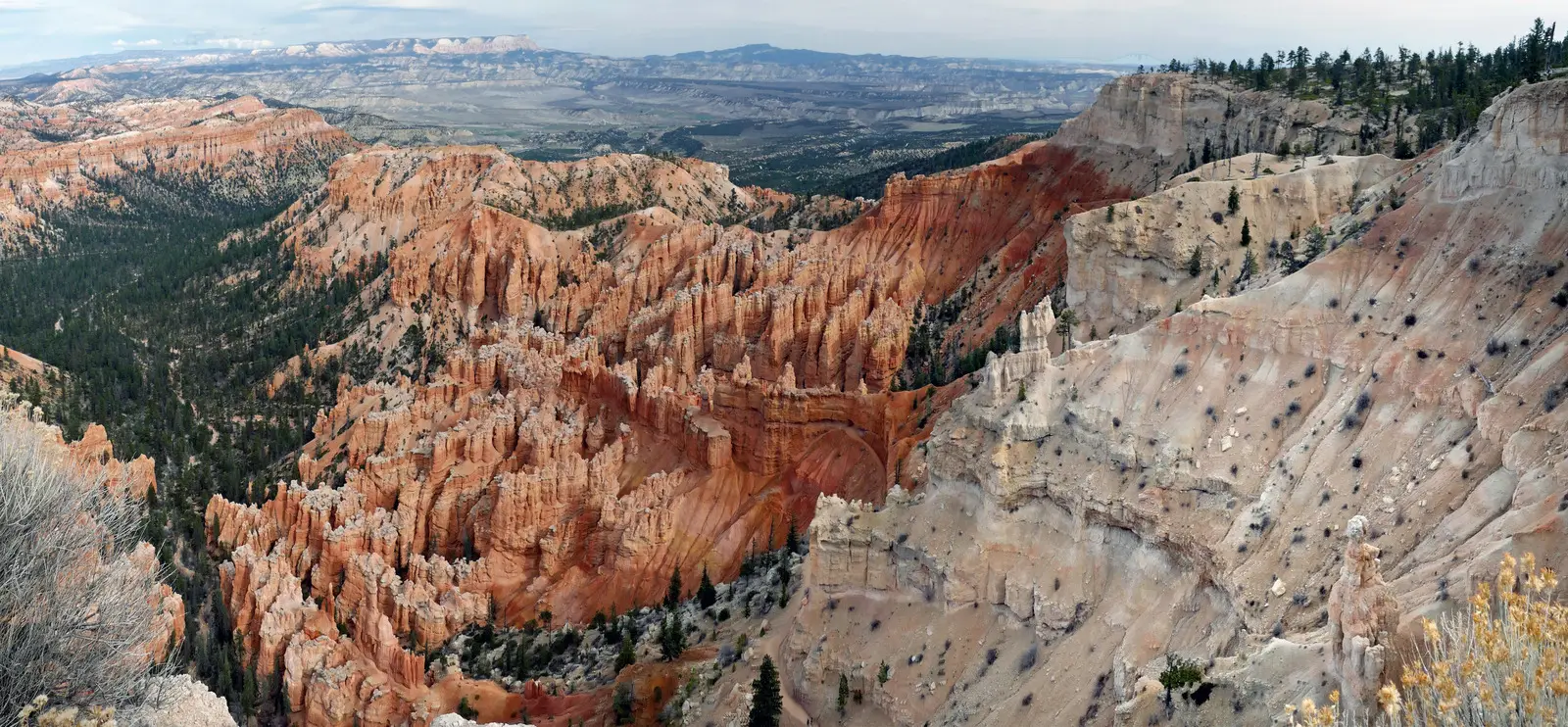 Hoodoo-Felsnadeln im Amphitheater des Bryce Canyon, Utah